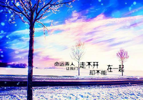 关于清明节的诗句——《采桑子》