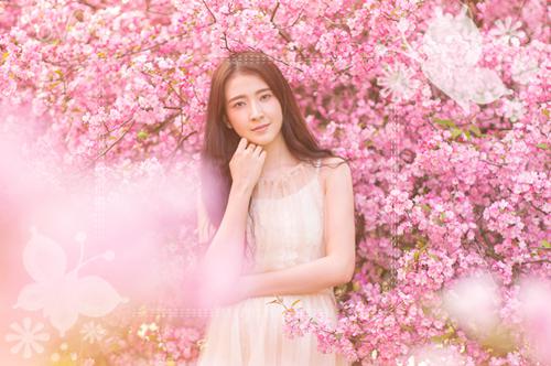 蜉蝣之梦陈冰清免费秦鹤小说_蜉蝣之梦陈冰清免费完结版阅读