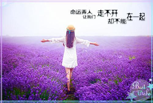 全本裴寂轩季楠玖：+后续+结局（季楠玖裴寂轩）最新章节列表_全本裴寂轩季楠玖：+后续+结局全文阅读