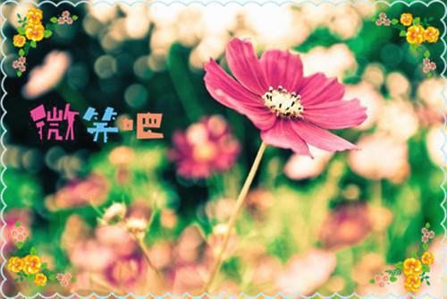雪落再说爱你：结局+番外（宋南夕周京泽）已完结，雪落再说爱你：结局+番外已完结