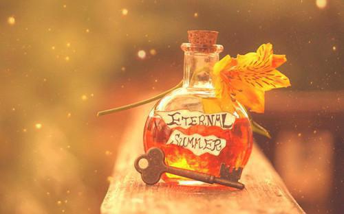 (番外)+(全文)爱在风雨中沉沦：结局+番外+完结（苏茗沈觞寒）完结阅读无弹窗大结局_爱在风雨中沉沦：结局+番外+完结免费阅读最新章节列表_笔趣阁（苏茗沈觞寒）