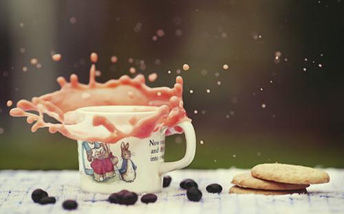 江风何处知几许:+后续+番外爱恨纠葛全文阅读(乔知许江叙言)最新章节_江风何处知几许:+后续+番外爱恨纠葛全文阅读