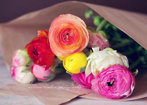 因为洗碗,我和宠我的父母断亲林婉婉许程完结版全章节阅读