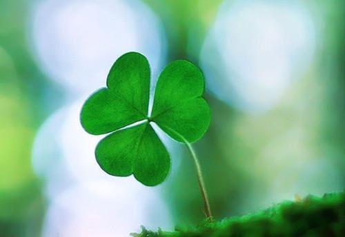 关于清明节的诗句——《清明日离蓝田白鹿原寄王太博》