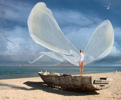 苏晩陆月白江阮结局+番外：冬风与他皆无情小说全文免费阅读无弹窗大结局_苏晩陆月白江阮全文最新章节列表_笔趣阁（冬风与他皆无情：结局+番外）