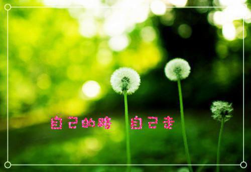 祝福老师教师节快乐的文艺句子