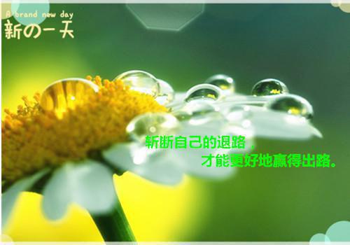 全文再许你韶华如梦：+后续+番外(许念段暮尘)全文免费阅读无弹窗大结局_(再许你韶华如梦：+后续+番外)最新章节列表_笔趣阁(许念段暮尘)