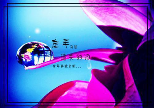 夏日古诗句赏析