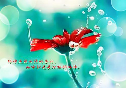 山遥月渐隐：全文+后续+结局（顾宴京棠黎）全文免费阅读无弹窗大结局_山遥月渐隐：全文+后续免费阅读最新章节列表_笔趣阁（山遥月渐隐：全文+后续）
