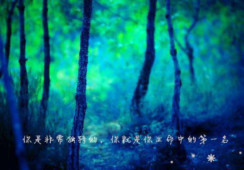 长辈的生日祝福语大全