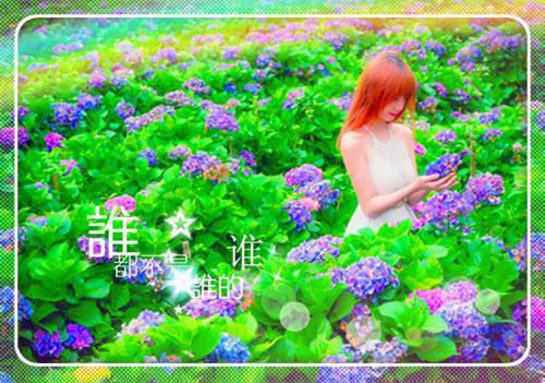 送给老师的祝福贺词