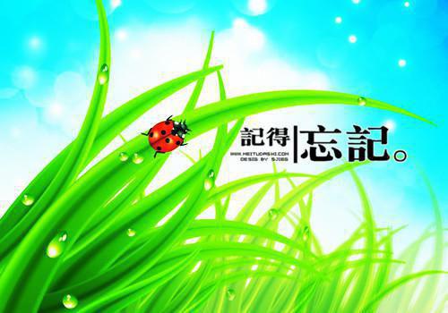 重生后，我孕霸三界逆行者完本在线小说免费阅读