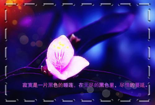 再无风雨再无你：结局+番外（宋书意温阮池邵）全文免费阅读无弹窗大结局_(再无风雨再无你：结局+番外后续大结局)宋书意温阮池邵最新章节列表_笔趣阁（再无风雨再无你：结局+番外）