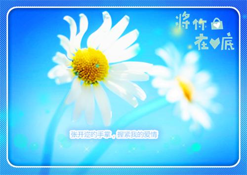 qq签名伤感伤了痛了2023最新的 心痛心累的伤感签名大全
