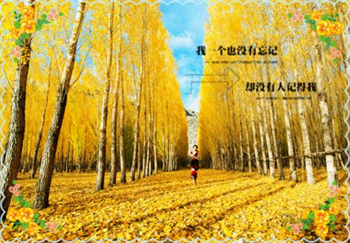五一劳动节诗歌——《五月》