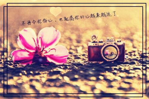 (番外)+(全文)有怨报怨，我是黄泉摆渡人：结局+番外（周源孙莹）全文免费阅读无弹窗大结局_(有怨报怨，我是黄泉摆渡人：结局+番外)最新章节列表_笔趣阁（周源孙莹）