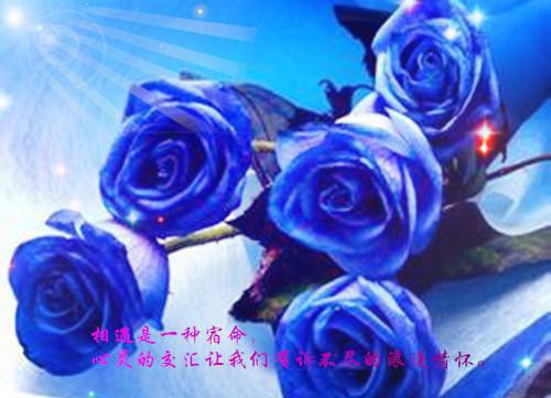 (番外)+(结局)林兮江时宴（林兮江时宴：结局+番外）全文免费阅读无弹窗大结局_(林兮江时宴)最新章节列表_笔趣阁（林兮江时宴：结局+番外）