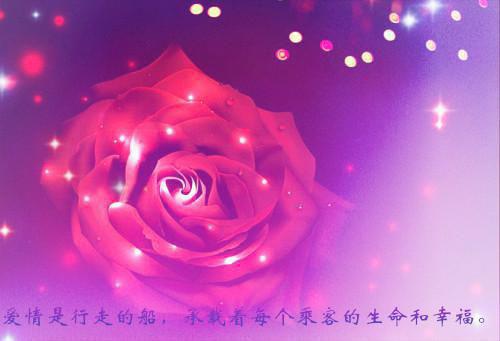 厉晏舟的小说路遥星亦迟厉晏舟：+后续+常梨厉晏舟全文阅读