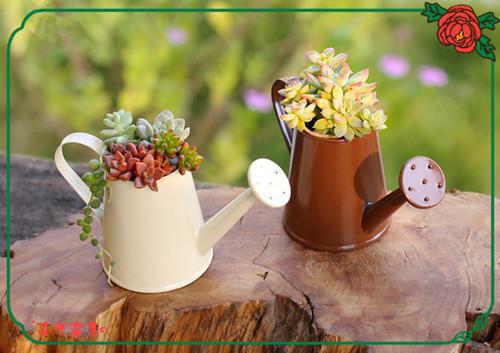 阮小姐想要逃，傅总全球通缉！查清楚,唐唐,楚康小说_阮小姐想要逃，傅总全球通缉！完结版阅读