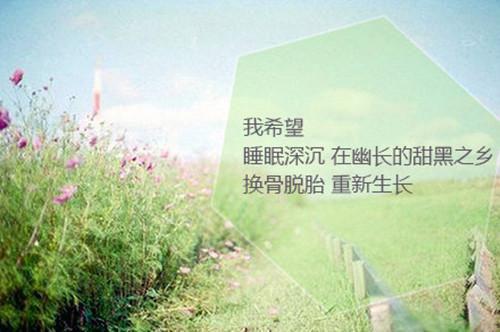 低年级作文评语（精选10篇）