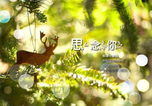 地回溯的小说_开局被抄家？我靠赈灾绝地反击李玄夜洛玉衡小说阅读