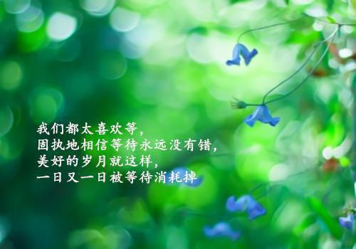 (番外)+(全文)离婚后，温小姐光芒万丈：全文+后续+结局（温漾谢砚辞）全文免费阅读无弹窗大结局_离婚后，温小姐光芒万丈：全文+后续+结局最新章节列表_笔趣阁（温漾谢砚辞）