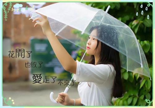 假千金撞断我的腿，全家包庇她后悔疯了：完结+结局+番外免费阅读无弹窗大结局_（假千金撞断我的腿，全家包庇她后悔疯了：完结+结局+番外）假千金撞断我的腿，全家包庇她后悔疯了：完结+结局+番外最新章节列表_笔趣阁（顾佳季博初顾珍）