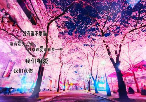 我身边也可以没有你：结局+番外+完结（贺屿川安夏）全文免费阅读无弹窗大结局_我身边也可以没有你：结局+番外+完结最新章节列表_笔趣阁（贺屿川安夏）