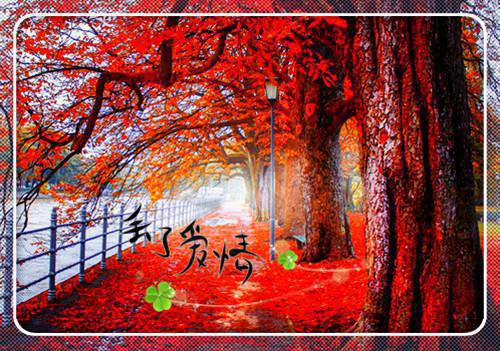 早安心语问候语