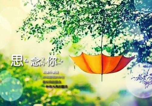 本科毕业评语