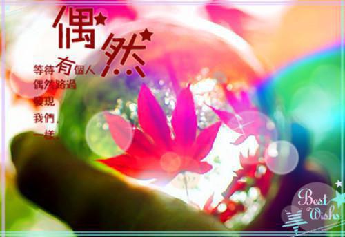 伤感一点的爱情签名大全2023 我受过凌迟大刑是一遍遍想你