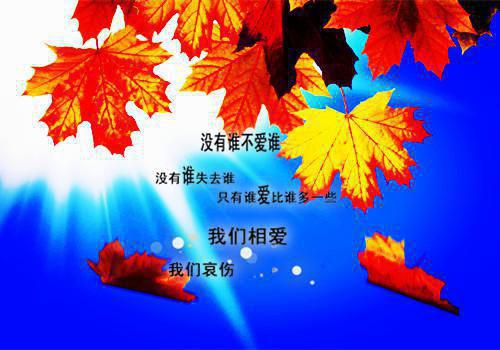 句句心碎的伤感签名 失望心冷的签名最新