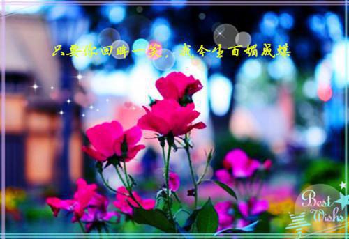 爱情的悲剧名言