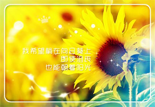 请不要火葬场：结局+番外(江南枝裴云霄裴南城万阅)全文江南枝裴云霄裴南城万阅读无弹窗结局_江南枝裴云霄裴南城万阅读结局章节列表_笔趣阁（请不要火葬场：结局+番外）