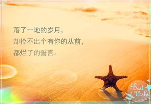 高三励志班级文化建设方案