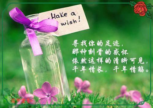 (番外)+(全文)青色似玉月如钩沈寒声谢语乔完结篇(沈寒声谢语乔)完整章节列表_笔趣阁：免费阅读无弹在线阅读_沈寒声谢语乔青色似玉月如钩最新章节免费在线阅读_青色似玉月如钩：全文+后续小说笔趣阁全本