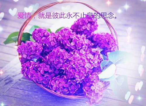 一年级期末评语(精选5篇)