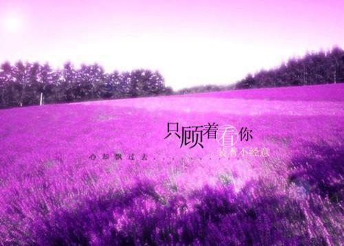 高中学生档案评语（精选29篇）