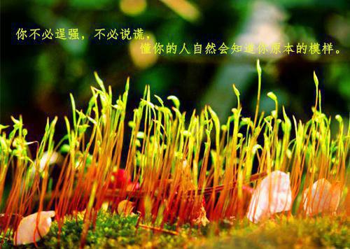 四字成语故事闭门造车成语故事