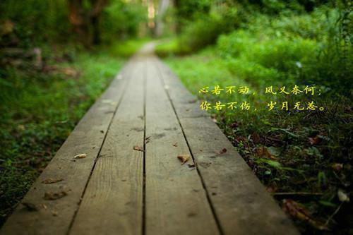 2025幼儿园中班期末评语简短（通用33篇）