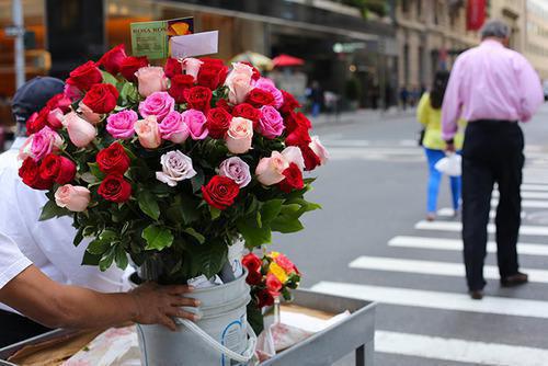 向悦傅行舟结局+番外：明月行舟无归期小说全文免费阅读无弹窗大结局_向悦傅行舟全文最新章节列表_笔趣阁（明月行舟无归期：结局+番外）