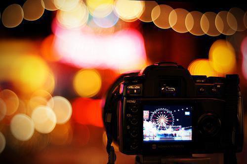 曲终不复朝朝暮暮：结局+番外全文免费阅读无弹窗大结局_祝汐谣陆舟南(曲终不复朝朝暮暮：结局+番外)最新章节列表笔趣阁（曲终不复朝朝暮暮：结局+番外）