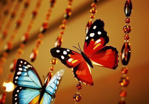 (番外)+(全文)如果你要写遗憾:结局+番外(姜慕情驰南奕:结局+番外)完结阅读无弹窗大结局_(姜慕情驰南奕)最新章节列表_笔趣阁(如果你要写遗憾:结局+番外)