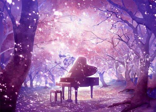 学籍卡片操行评语(精选8篇)