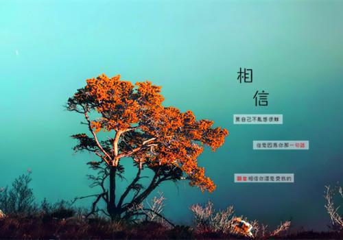 暑期班小学生评语（通用3篇）