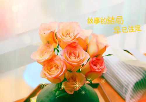 关于正能量的句子有哪些