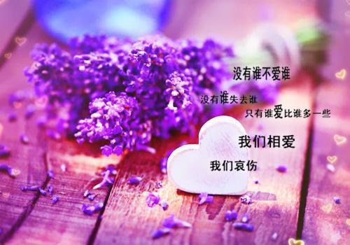 (番外)+(全文)她像倦鸟失了归期：全文+免费下载阅读_(沈黛樱谢司珩)她像倦鸟失了归期：她像倦鸟失了归期最新章节列表_笔趣阁（沈黛樱谢司珩）