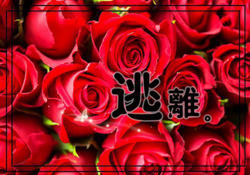 有点悲伤的令人伤感的签名 时间久了什么都会变