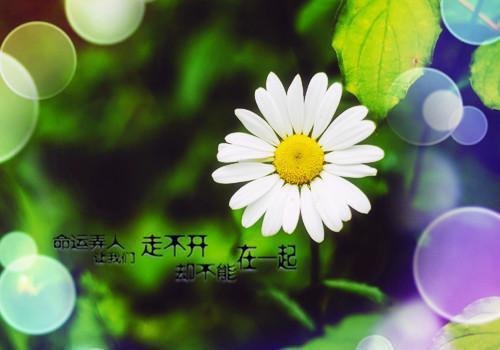适合高中生的操行评语（通用3篇）