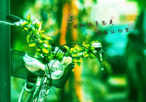 我和死囚